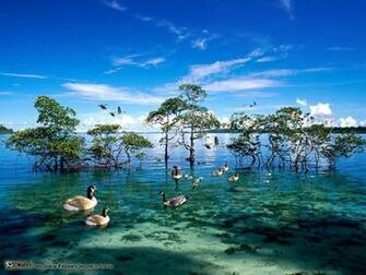 National Geographic Wallpaper Top