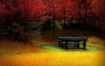 Autumn Wallpaper X