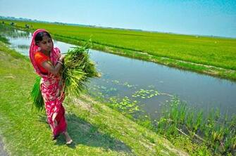 Country Background Information Bangladesh Metlink Weather