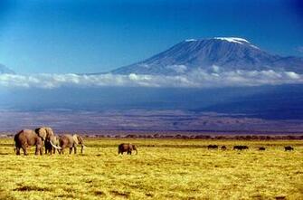 Kilimanjaro Wallpaper 1080p 9e66v8i Wallpaperexpert