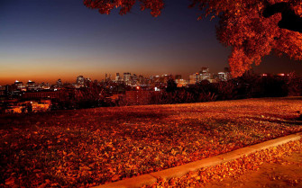 Fall Wallpaper