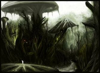 Mushroom Forest Wallpaper