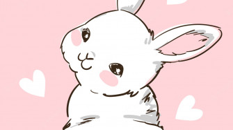 Top White Rabbit Wallpaper Full HD 4k To Use