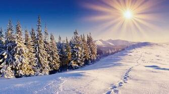 Winter Sun Wallpaper