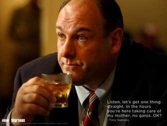 Tony Soprano Wallpaper Image Thecelebritypix