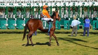 Horse Racing Wallpaper Pictures Image