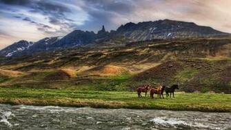 Horses Screensavers Background Christmas Wallpaper Desktop