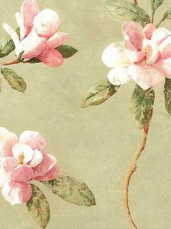 Wallpaper Categories Kitchen York Magnolia Green