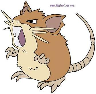 Raticate Pokemon Wallpaper Image