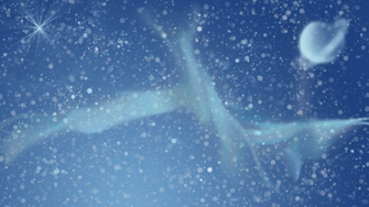 Starry Night Wallpaper Widescreen High Definition
