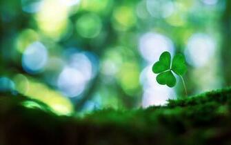 Wallpaper Shamrock