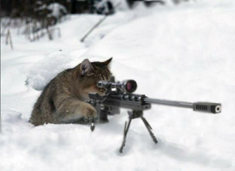 Sniper Get Down Pikdit