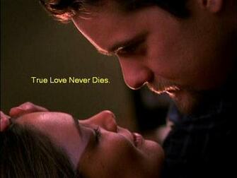 True Love Never Dies Wallpaper