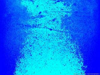 Wallpaper Neon Close Up Of A Blue Tube Light It Looks
