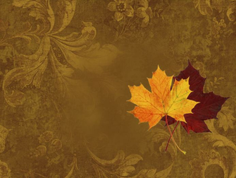 Png Psd Fall Bie Set
