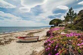 Colourful Boats France Sky Portulaca Coast Wallpaper Nature