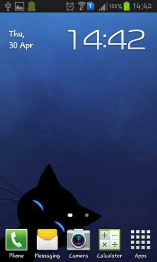 Chat Stalker Cat