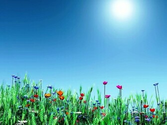 Desktop Background For Spring
