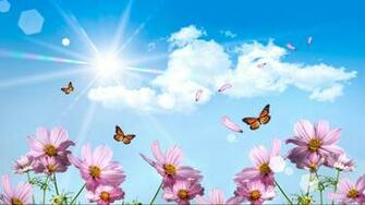 Share Flower Wallpaper Gallery To The