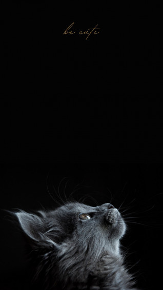 And Customizable Black Wallpaper Templates