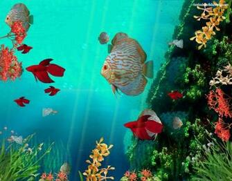 Descargar Imagen Moving Background Of Fish HD Widescreen Gratis
