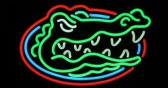 Uf Florida Gator Neon Sign Cool Swamp Life