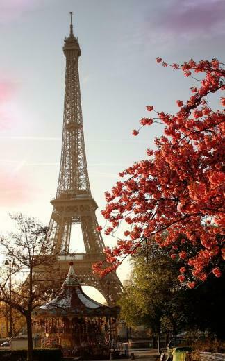 Application Paris Live Wallpaper Will Set The Home Screen Cute