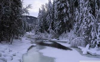 Forest Snow Scene Wallpaper Desktop Background Scenery