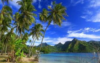 Wallpaper Moorea Island Ocean Beach Tropical Islands