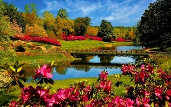 Spring Flower Wallpaper Desktop HD
