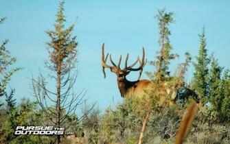 Desktop Wallpaper Hunting Fishing Wildlife And Nature