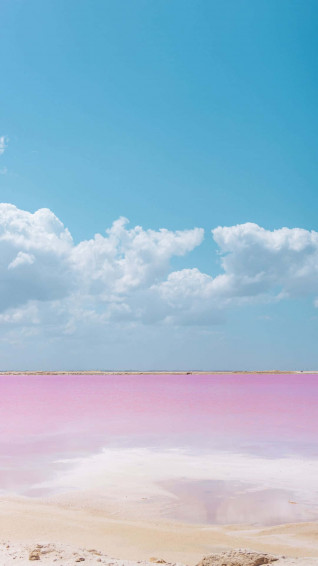 A Mesmerizing Of The Captivating Pink Beach Wallpaper