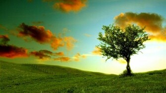 Summer Country Desktop Wallpaper HD Background