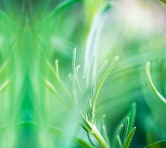 High Res Leaked Htc Sense Wallpaper From All New One