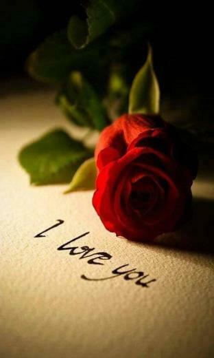 Cute I Love U Wallpaper For Mobile