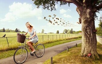 Creative Humor Wallpaper Background HD Desktop