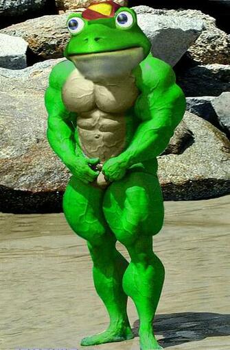 Slippy Toad S Other Job By Crusaderexe