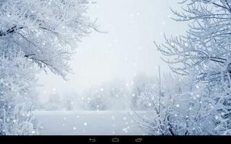 Winter Wallpaper Gives You Possibility To Watch Amazing