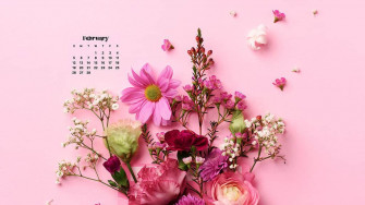 February Wallpaper Bies For Desktop Phones