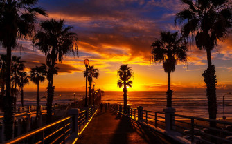 California Aesthetic Wallpaper
