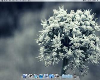 Winter Flowers Wallpaper