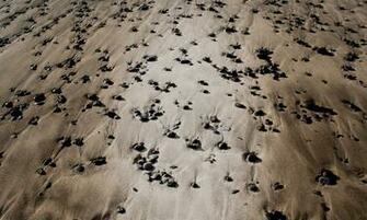 Dry Png Image Mud River Drought