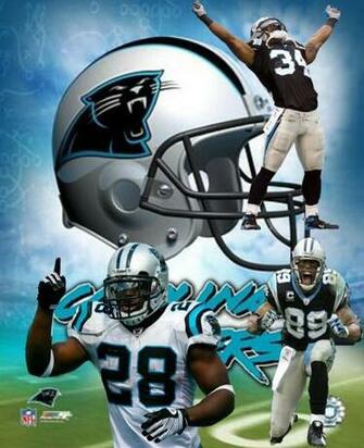 Carolina Panthers Graphics Code Comments