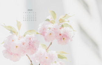 Pretty September Wallpaper Designs For