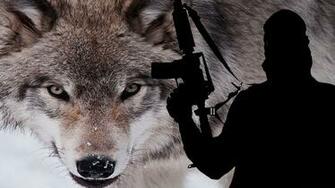 Lone Wolf And Packs The Jihadist Movement Uncle Sam S