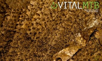 Vital Mtb Desktop Wallpaper Mountain Bikes Feature Stories