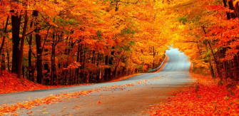 Autumn Season HD Wallpaper Amazon Appstore For Android