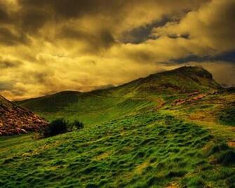 Interfacelift Wallpaper Grass