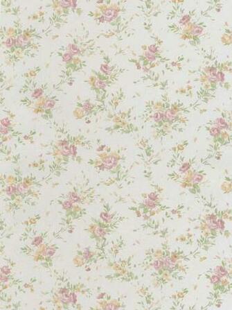 Off White Dainty Classic Floral Wallpaper Traditional