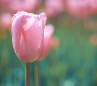 S3 Wallpaper For Fullscreen High Definition Pc Or Smartphones HD